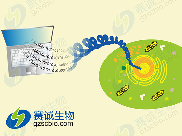 生物信息學 生物信息學