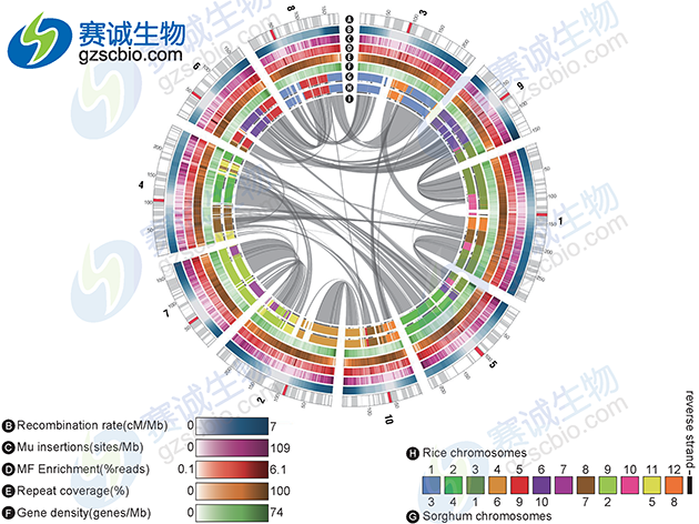 生物信息學分析基因