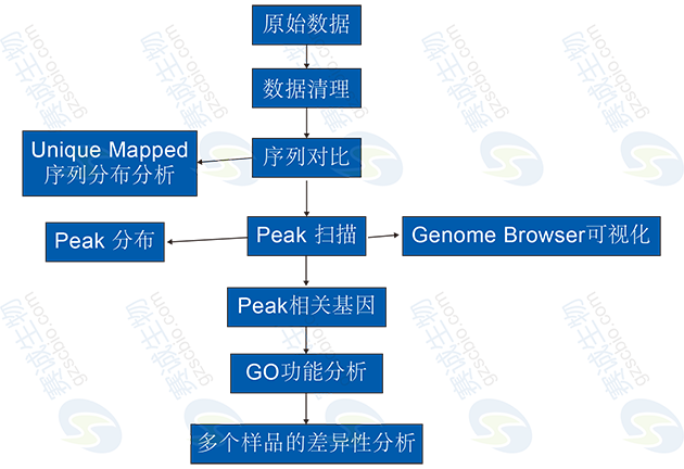 ChIP-Seq分析流程 ChIP-Seq分析流程