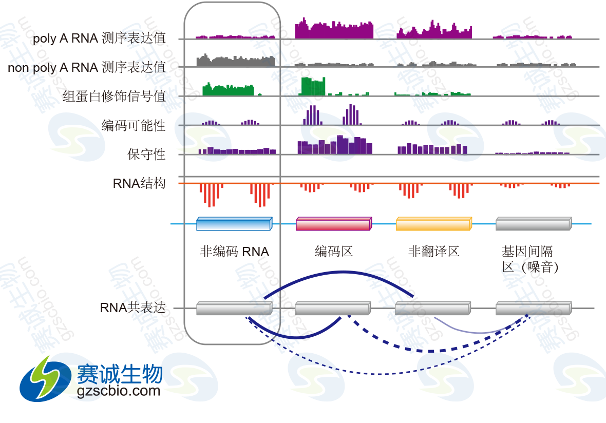 利用數(shù)據(jù)整合對lncRNA進行鑒定.png 利用數(shù)據(jù)整合對lncRNA進行鑒定.png