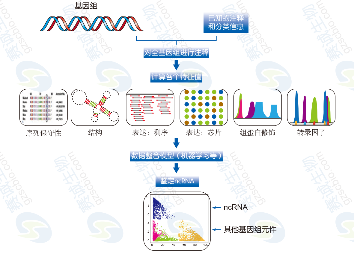 lncRNA綜合分析方法流程示例.png lncRNA綜合分析方法流程示例.png