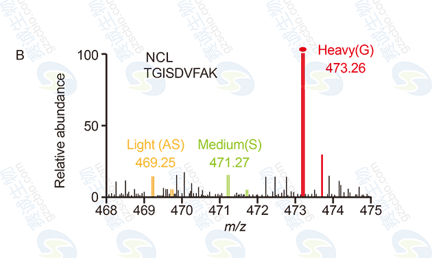 RNA Pull-down model figure B.png RNA Pull-down model figure B.png