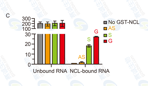 RNA Pull-down model figure C.png RNA Pull-down model figure C.png