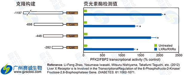 Luciferase片段缺失實(shí)驗(yàn).png Luciferase片段缺失實(shí)驗(yàn).png