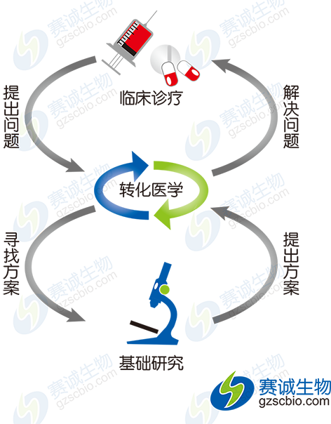 轉(zhuǎn)化醫(yī)學(xué)模式示意圖.png 轉(zhuǎn)化醫(yī)學(xué)模式示意圖.png