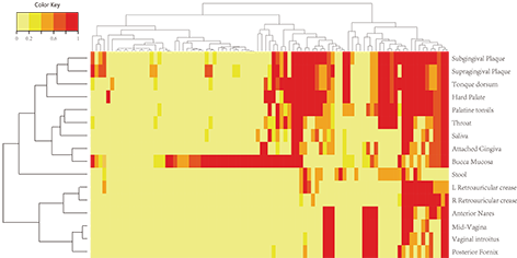 1459417138306003694.png 5 基因芯片聚類分析.png