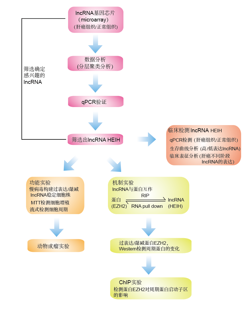 1461053343802090128.png 未標題-2.png