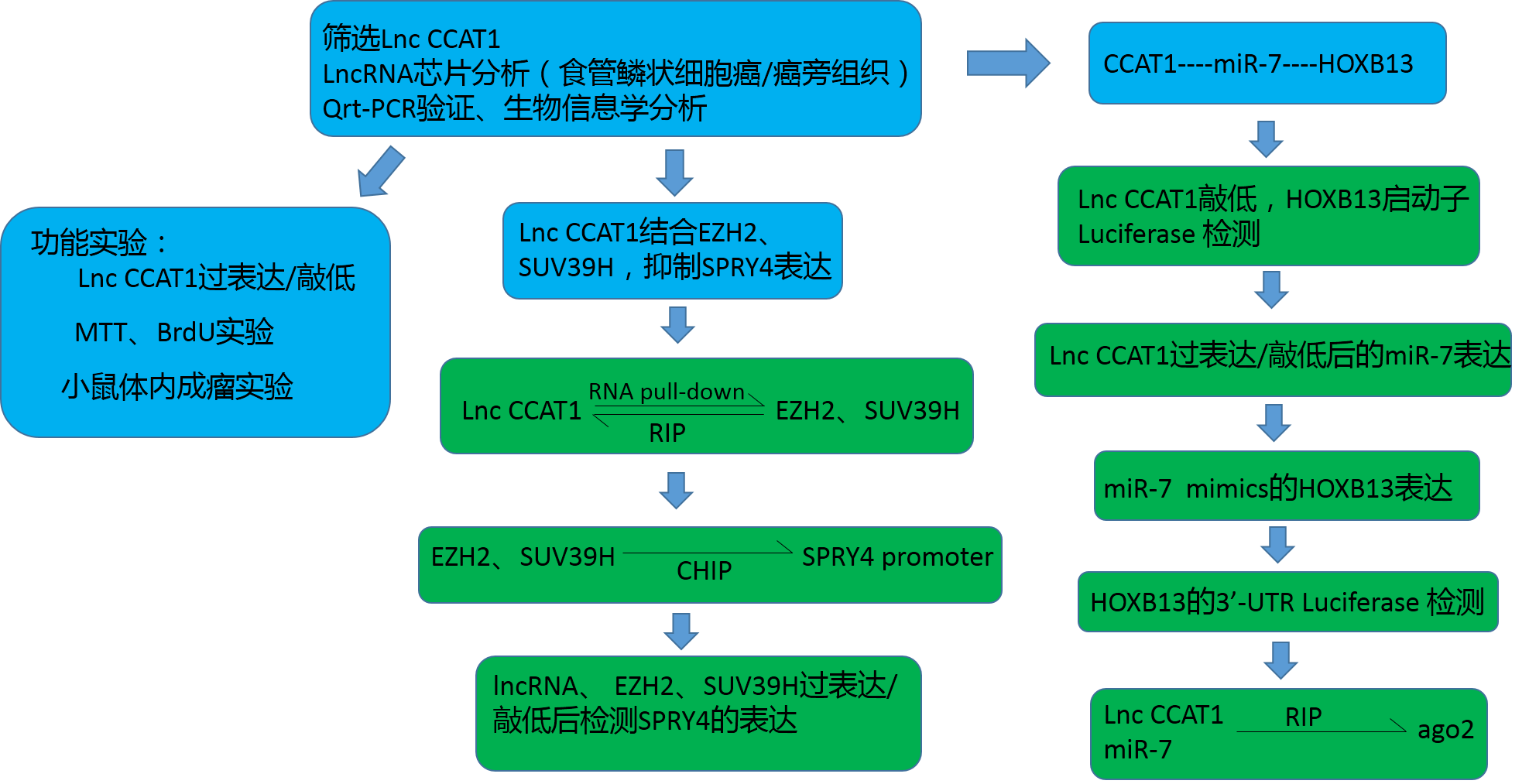 1500866837338042186.png 技術(shù)流程.png
