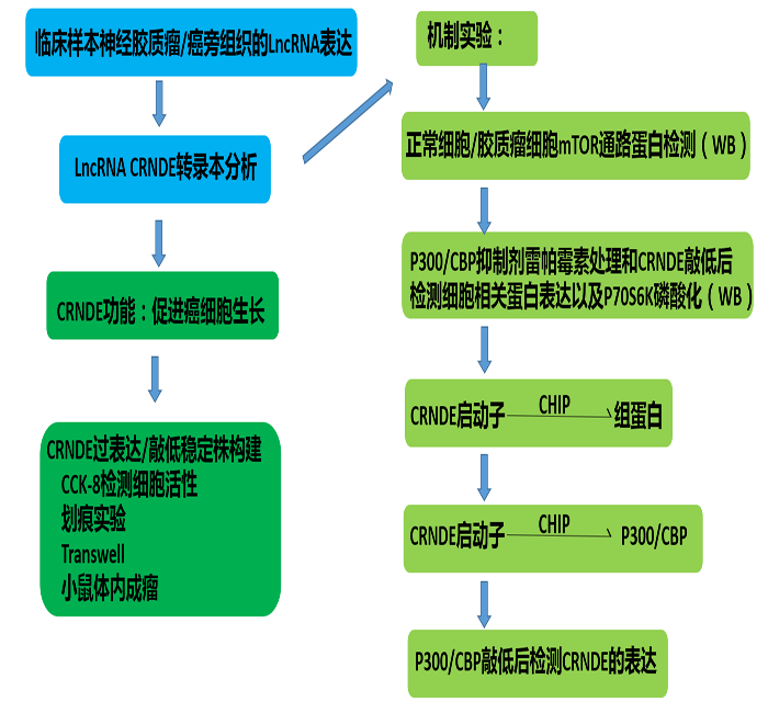 1501146037374043524.png 1.png