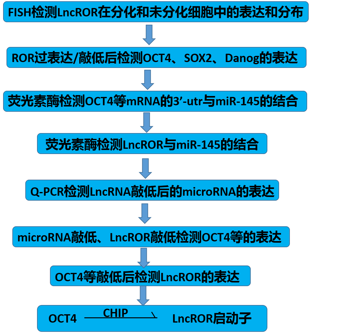 實驗流程.png