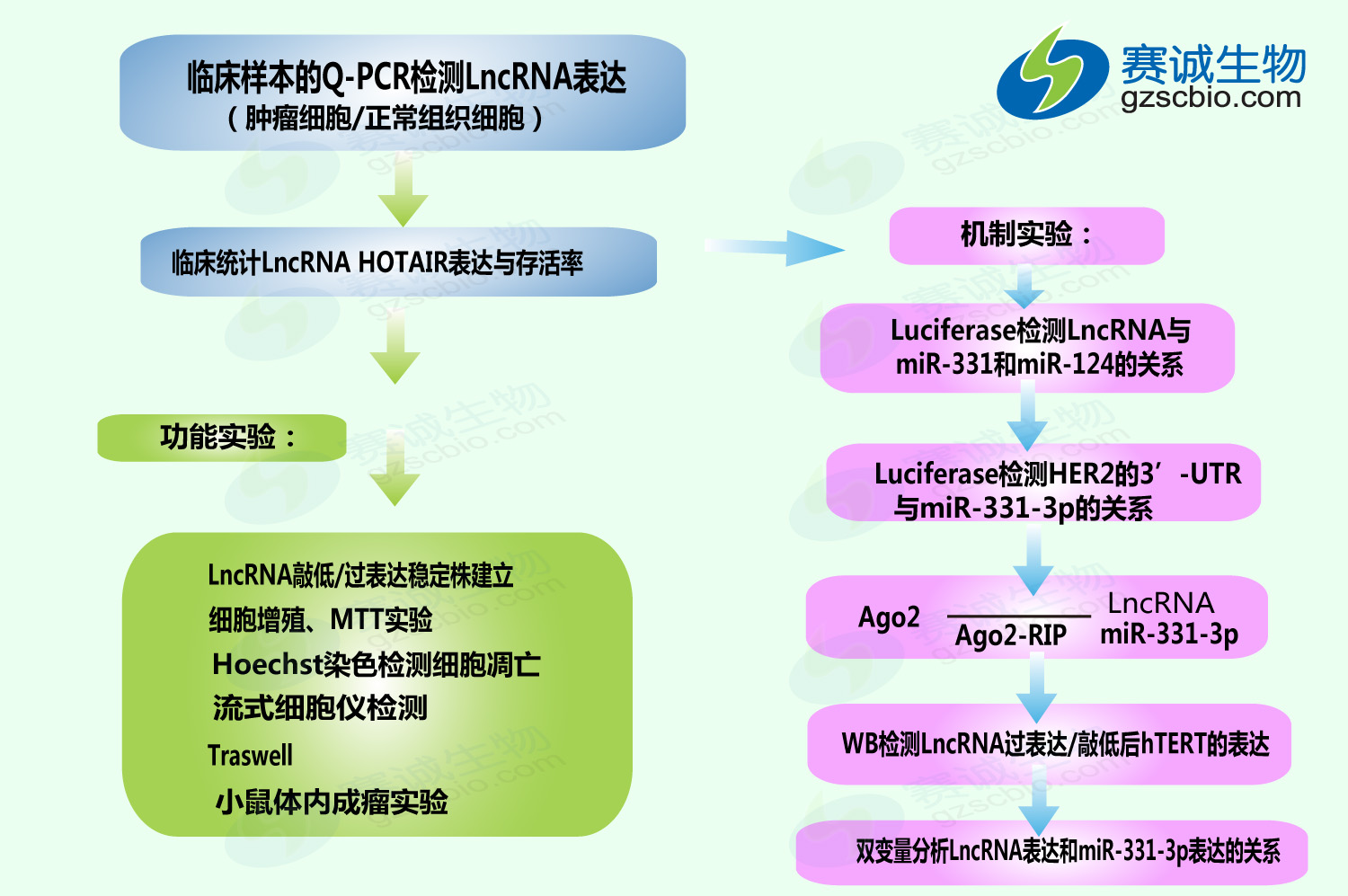 1502183447686047523.jpg ceRNA機(jī)制研究案例(五).jpg