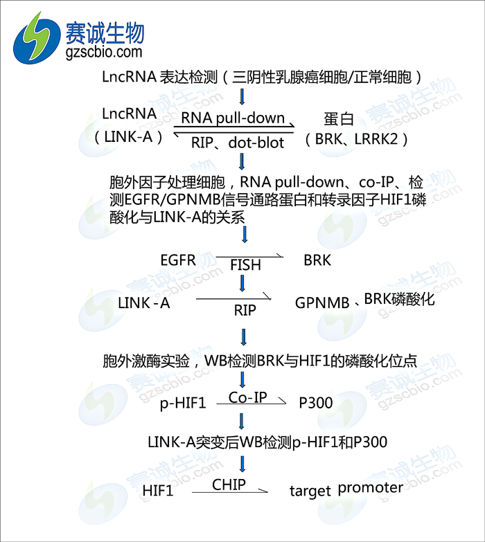 1502855032593065443.png 流程圖.png