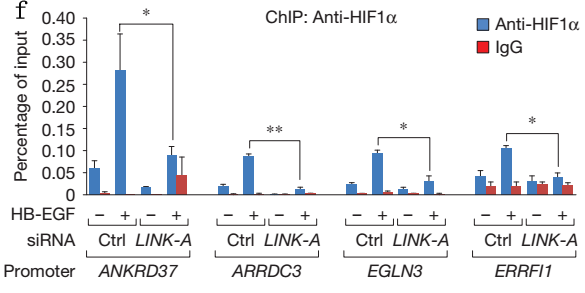 1502860986990086390.png F5-3.png