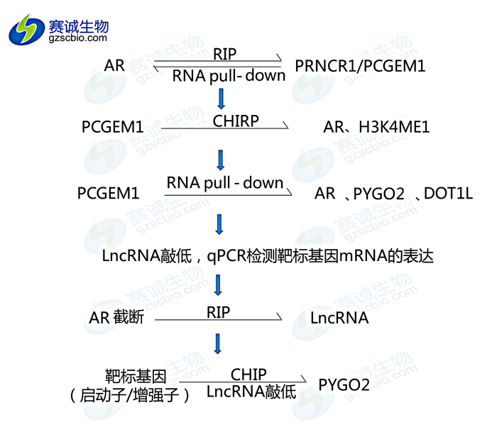 1503041945847077943.png 流程圖.png