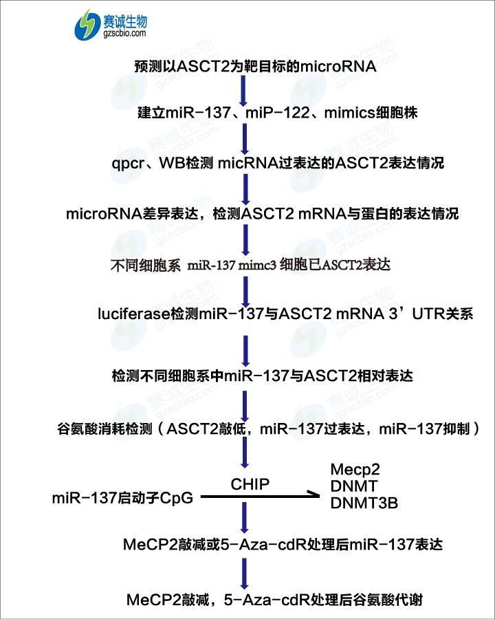 1503469905478028040.png 甲基化2 流程圖.png