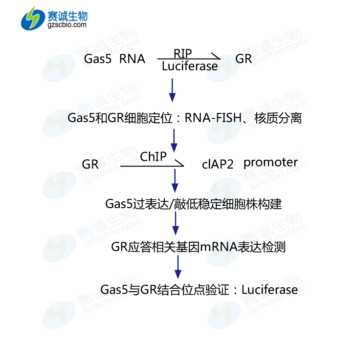 1505980908718019185.png 流程圖.png
