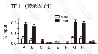 1508137641367017757.png CHIP結(jié)果圖(Q-PCR).png