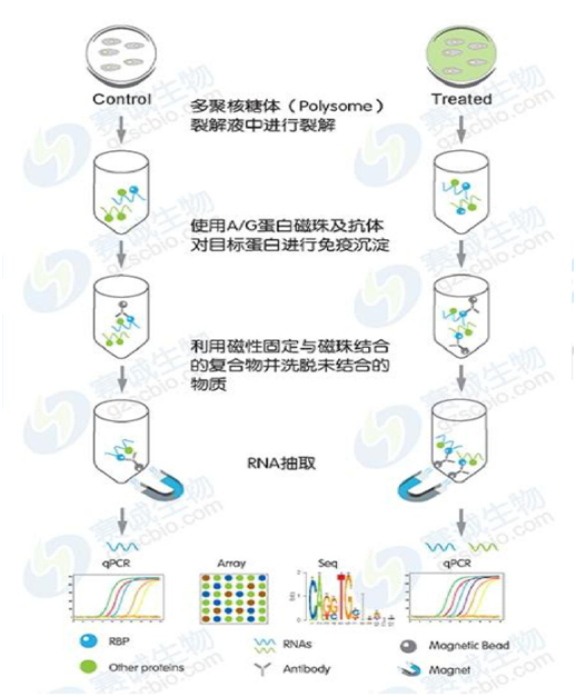 1555038232866076786.png image.png