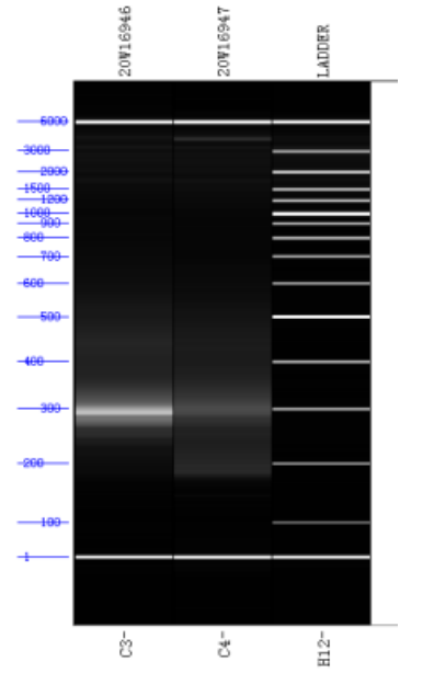 1604039313247030555.png 1604039313247030555.png
