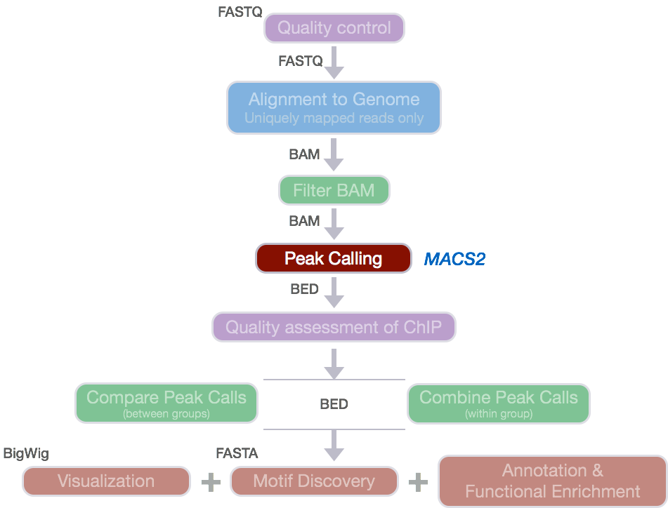 1618908937183072154.png Chip_encode_pipeline_2021-03-23_16-55-18.png